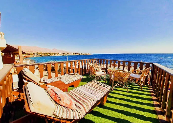 The Spot 3* Dahab